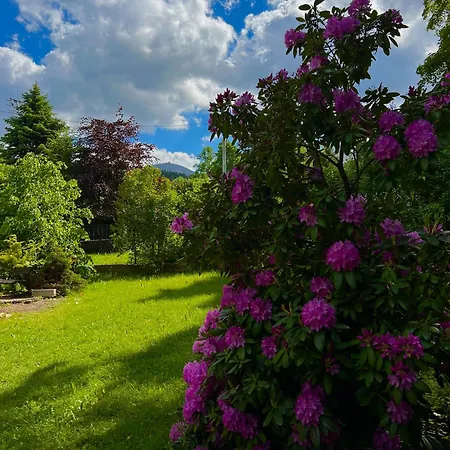 Apartment Lesny Ogrod